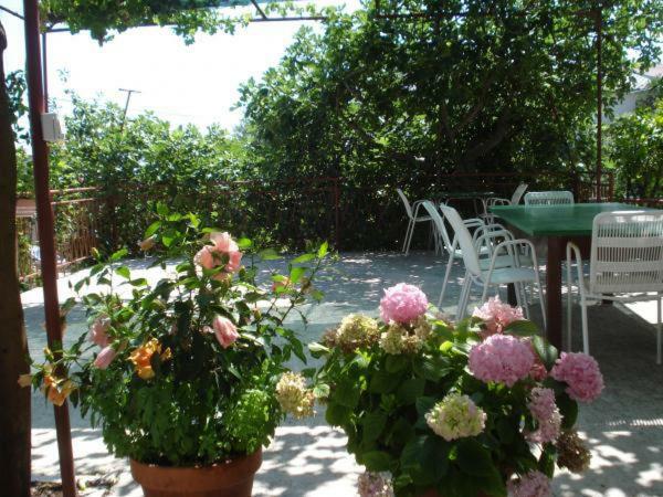 Pavlinovic Jure Apartment Makarska Exterior photo